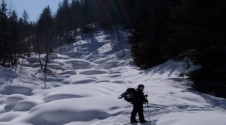  Camicrema de invierno 